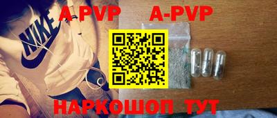 стаф Дубна